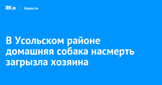 В Усольском районе домашняя собака насмерть загрызла хозяина
