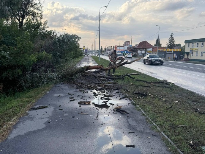 Последствия урагана в Пензе устраняют 50 рабочих и 30 единиц спецтехники