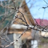 В выходные в Башкирии будет погода с небольшими дождями
