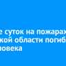 За двое суток на пожарах в Иркутской области погибли три человека