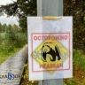 В бурятском посёлке замечен медведь