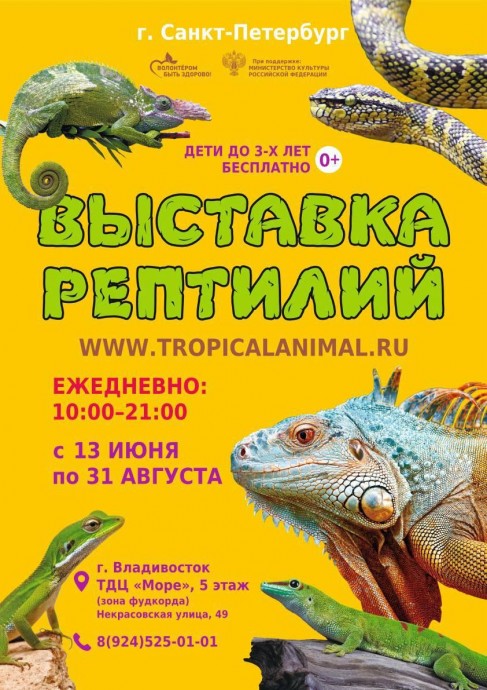 Погружение в мир экзотики: во Владивостоке проходит грандиозная выставка рептилий