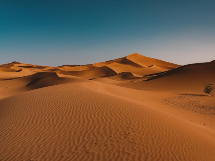 Климатические модели зафиксировали резкий рост дождей в Сахаре — Science&Vie Климатические модели зафиксировали резкий рост дождей в Сахаре — Science&Vie