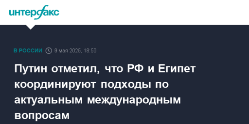Путин отметил, что РФ и Египет координируют подходы по актуальным международным вопросам