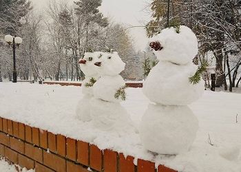 Циклон продолжит засыпать Приамурье снегом