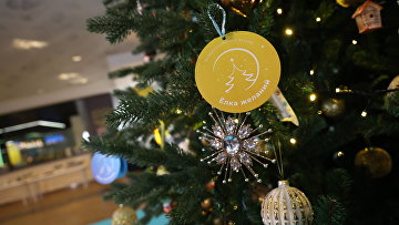 Вице-премьеры и министры приняли участие в акции "Елка желаний" Вице-премьеры и министры приняли участие в акции "Елка желаний"