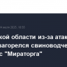 В Брянской области из-за атаки дронов загорелся свиноводческий комплекс "Мираторга"