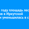 В 2025 году площадь лесных пожаров в Иркутской области уменьшилась в семь раз