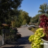 Как отдохнуть белгородцам 5–7 сентября