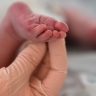 Жительница Москвы родила 15-го ребенка — у семьи 10 дочерей и 5 сыновей