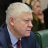 Депутат Пискарев рассказал, кому хотят запретить работать курьерами