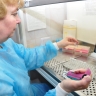 Более 450 жителей Ярославской области пострадали от укусов клещей за неделю