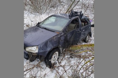 Под Воронежем автоледи врезалась в дерево