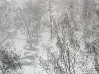 После массового ДТП обнаружены нарушения в содержании трассы Пенза-Тамбов