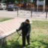 В Астрахани озеленяют улицу Победы и набережную: тысячи новых кустарников этой осенью
