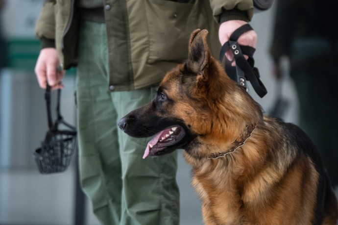 В пяти школах Кубани проходят эвакуации из-за сообщений о минировании