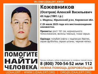 «Лиза Алерт» объявила очередной поиск пропавшего в Медянах мужчины