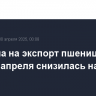 Пошлина на экспорт пшеницы из РФ с 30 апреля снизилась на 12,8%