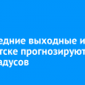 В последние выходные июня в Иркутске прогнозируют до +25 градусов