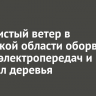 Шквалистый ветер в Иркутской области оборвал линии электропередач и повалил деревья