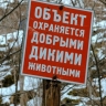В Башкирии медведь напал на сноубордиста