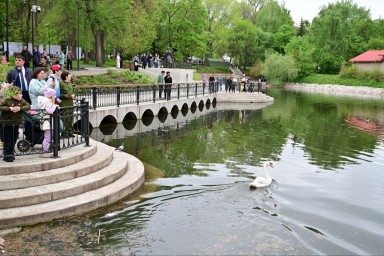 В Сад Аксакова в Уфе вернулись лебеди