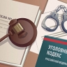 Верховный суд оставил 12 лет колонии россиянке за финансирование ВСУ