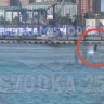 Морское представление в бухте: кит устроил шоу для жителей Владивостока