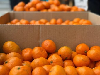 Вячеслав Гладков посетил фермерскую ярмарку в Белгороде