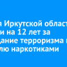Жителя Иркутской области осудили на 12 лет за оправдание терроризма и торговлю наркотиками