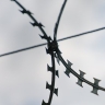 Россияне получили сроки в колонии из-за массового отравления шаурмой