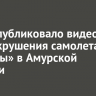 МЧС опубликовало видео с места крушения самолета «Ангары» в Амурской области