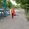 Курские службы продолжают уборку общественных пространств