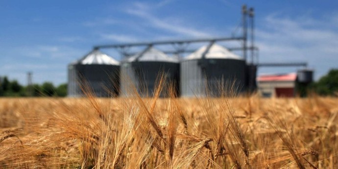 Башкирия увеличила продажи зерна на внутреннем рынке