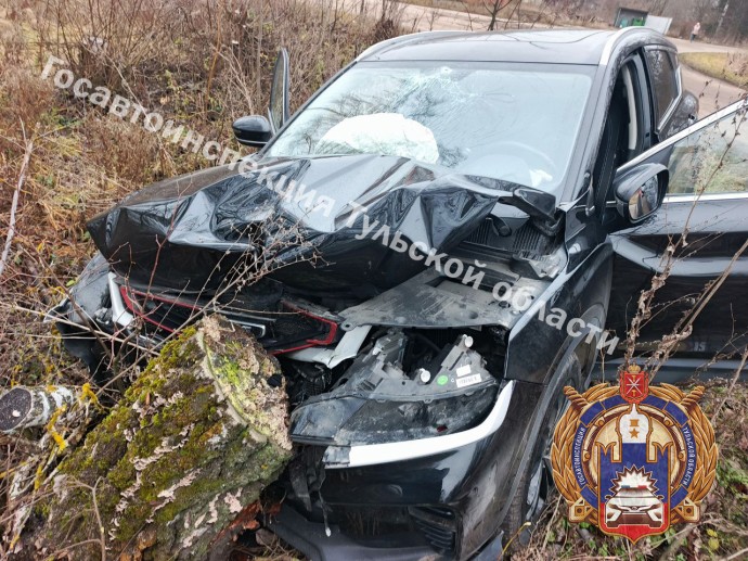 В Арсеньевском районе автомобиль врезался в дерево В Арсеньевском районе автомобиль врезался в дерево