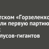 В иркутском «Горзеленхозе» получили первую партию ранних гладиолусов-гигантов
