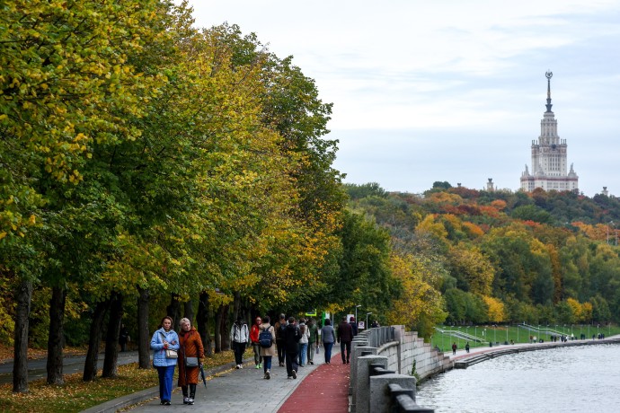Гештальт-терапевт Загородняя: Лучший способ вернуть энергию – движение Гештальт-терапевт Загородняя: Лучший способ вернуть энергию – движение