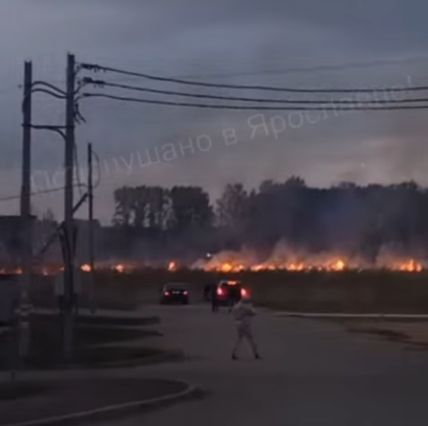 У деревни под Ярославлем произошел крупный пал травы