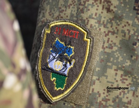 Участники СВО из Башкирии могут получить второе образование