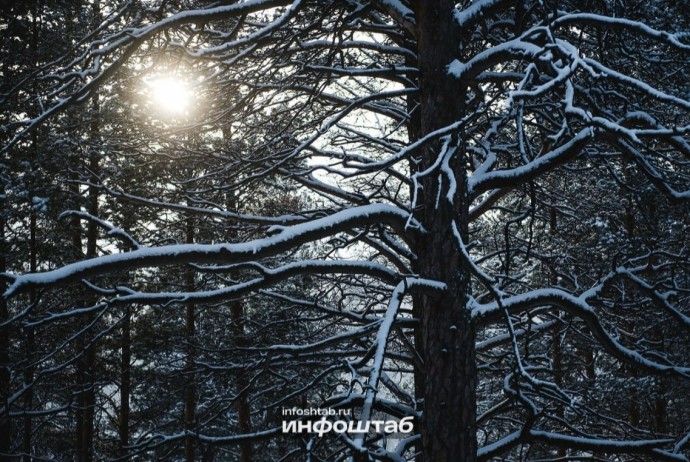 Снег и потепление: что метеорологи обещают астраханцам 31 декабря