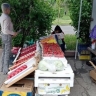 В Курске за неделю составили 11 протоколов за незаконную торговлю