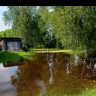В селе Заозерье Ярославской области возьмут пробы воды после подтопления