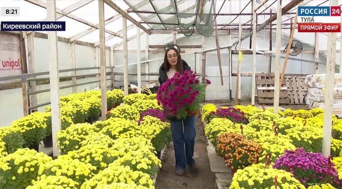 Цветовод Алина Зара поделилась опытом выгонки тюльпанов к 8 Марта