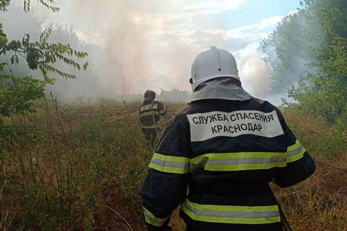 Краснодарские спасатели в 2025 году помогли 185 животным