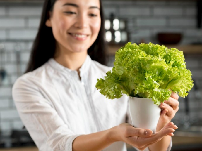 Выращивание салата на подоконнике требует досветки — овощеводы