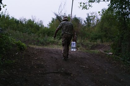 Украинец не смог сбежать за границу из-за медведицы