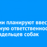 В России планируют ввести уголовную ответственность для владельцев собак