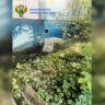 Шестилетняя девочка выпала из окна квартиры на юге Москвы
