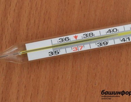 В школах и детсадах Башкирии ввели утренний контроль температуры тела В школах и детсадах Башкирии ввели утренний контроль температуры тела