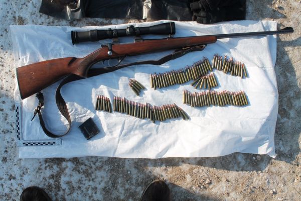 В Иркутской области трёх браконьеров осудили за убийство косули
